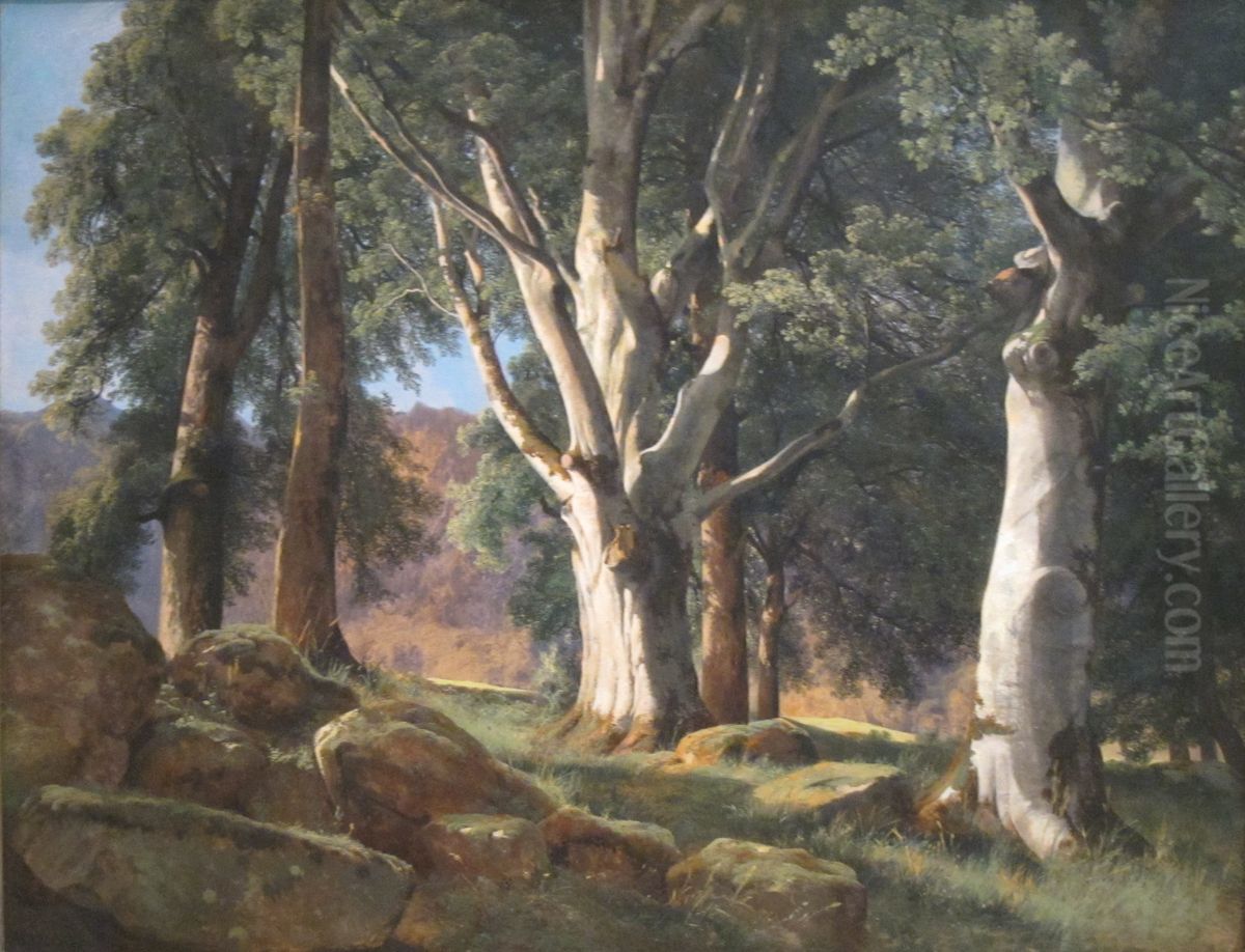 The Sycamores Oil Painting by Alexandre Calame