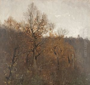 Waldlandschaft