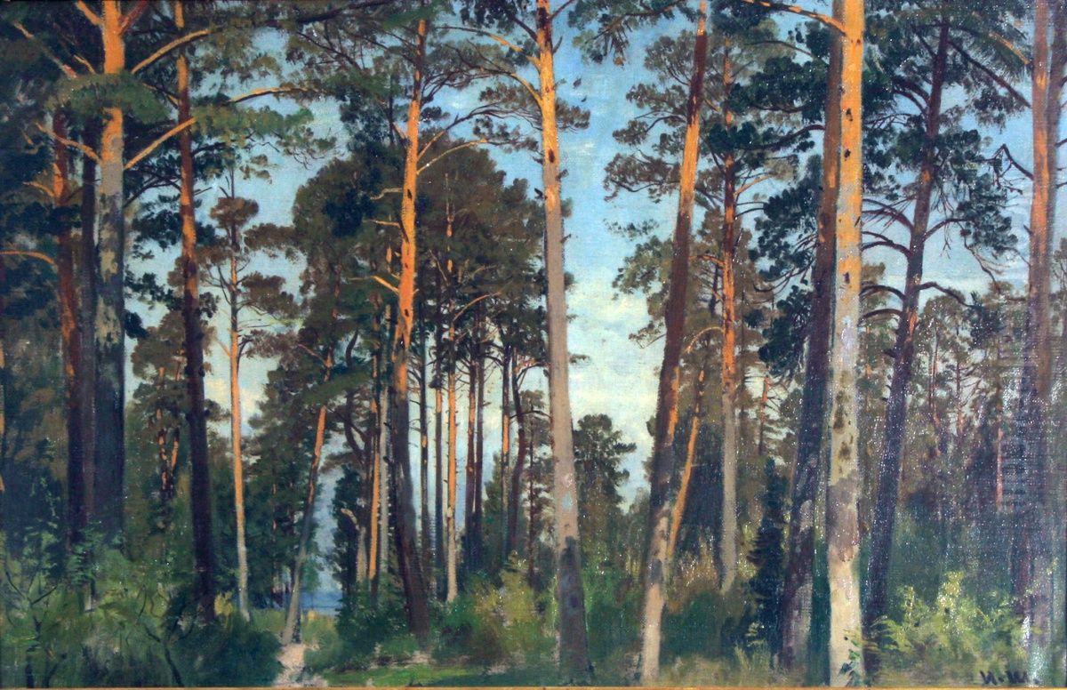 Sosny Oil Painting by Ivan Shishkin