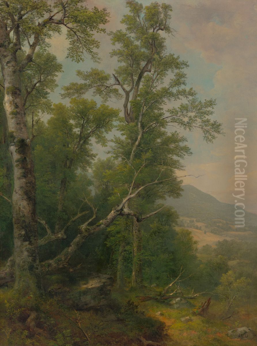 Study of Trees Oil Painting by Asher Brown Durand