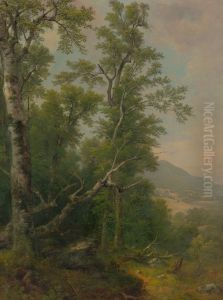 Study of Trees