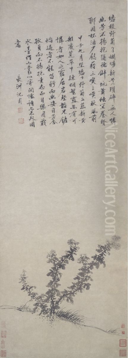 Wild Chrysanthemum Oil Painting by Shen Zhou