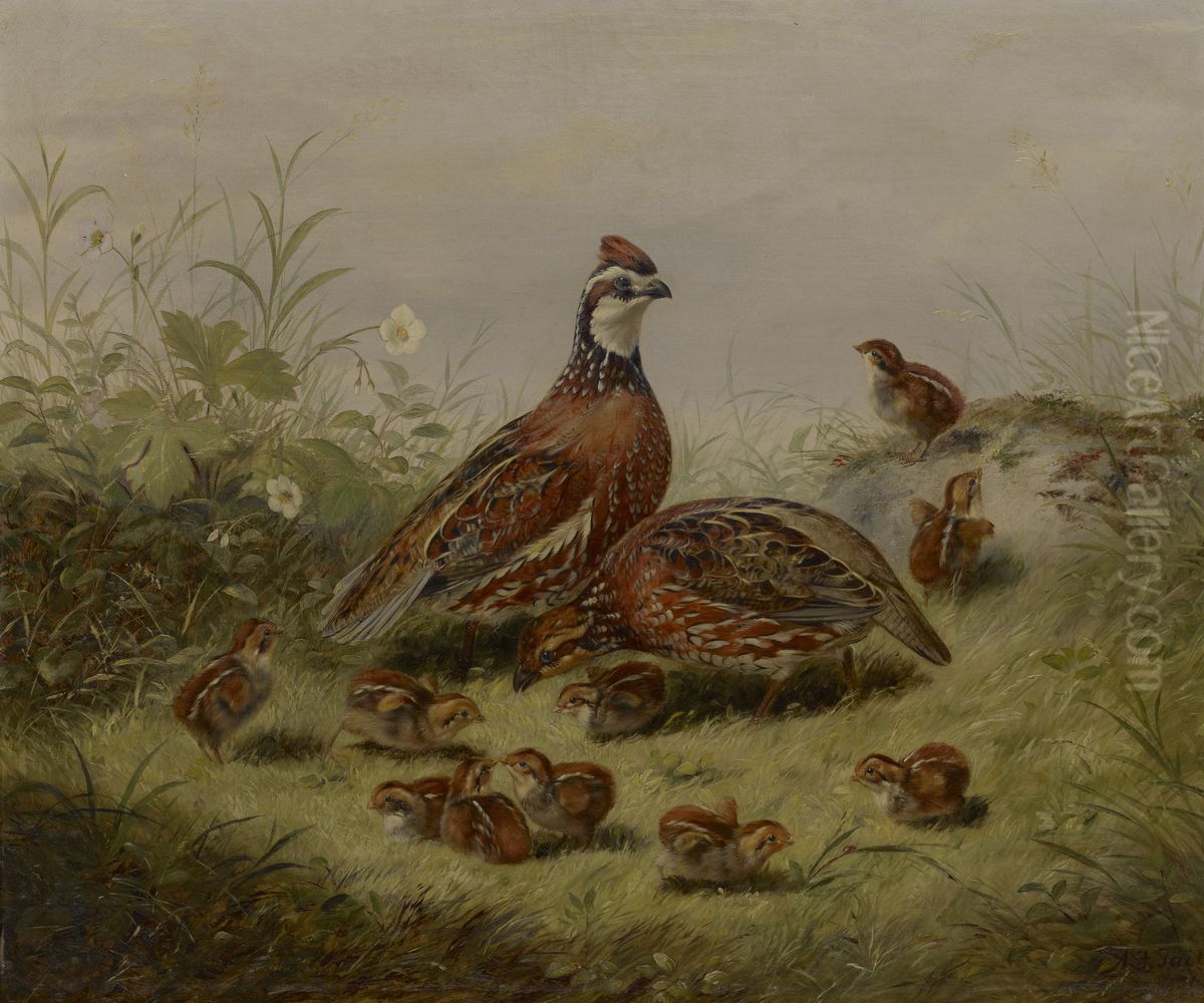 Quail and Young Oil Painting by Arthur Fitzwilliam Tait