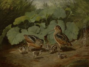Woodcock and Young