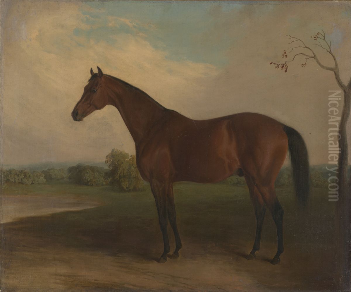 Sovereign Oil Painting by Edward Troye
