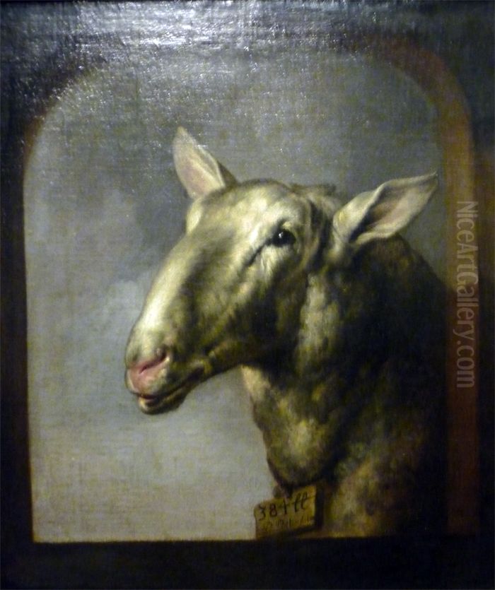 Tete de mouton Oil Painting by Paulus Potter