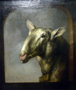 Tete de mouton