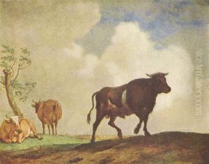 Stier und Kuhe