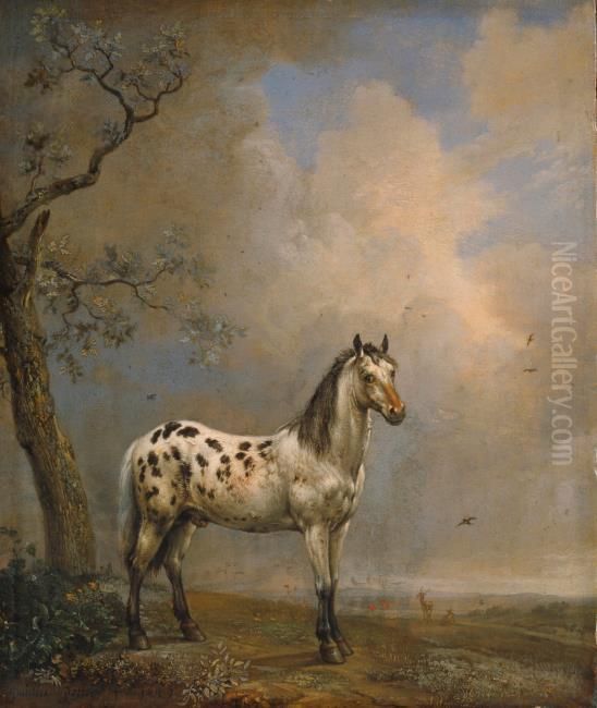 The Spotted Horse Oil Painting by Paulus Potter