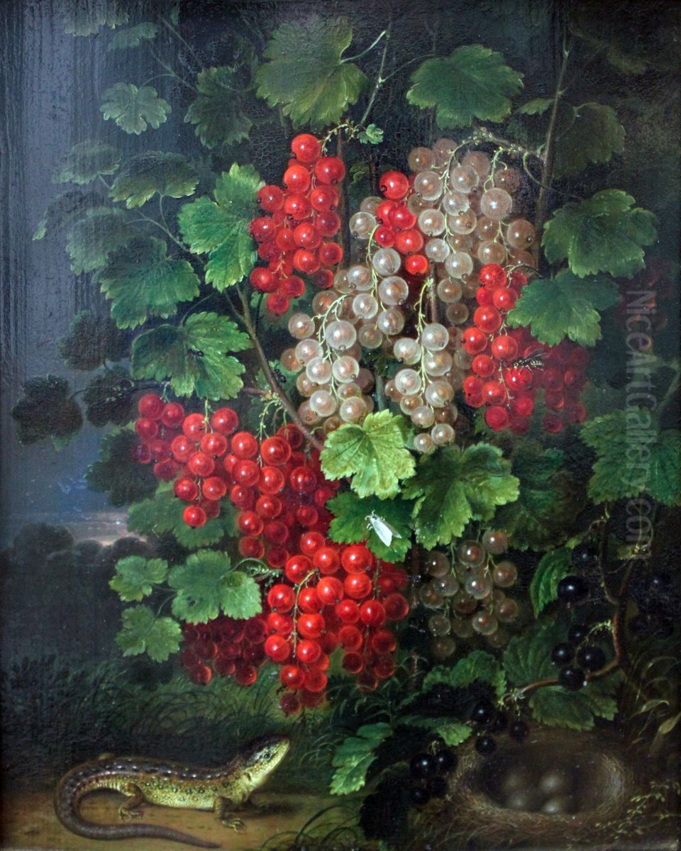 Johannisbeeren Oil Painting by Johann Adam Schlesinger