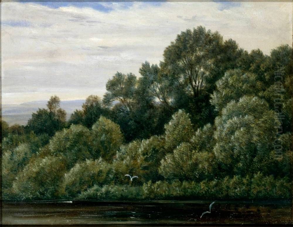 Pfaueninsel bei Pillnitz Oil Painting by Carl Gustav Carus