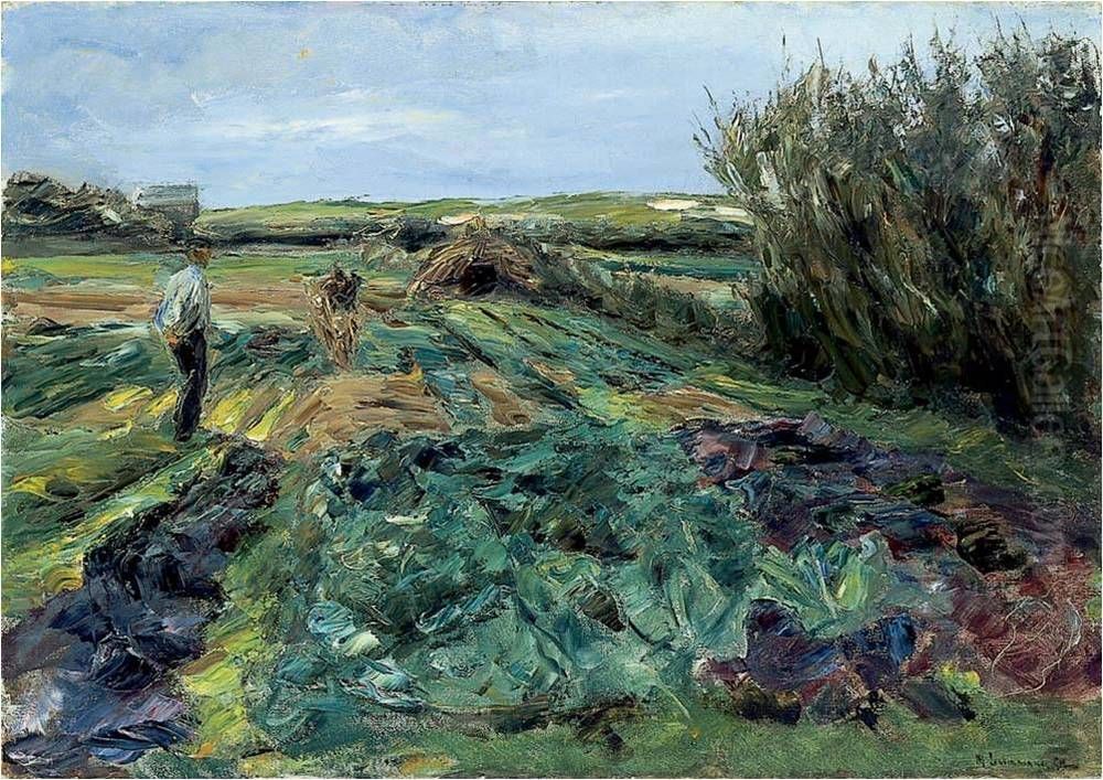 The cabbage field (cabbage field in Noordwijk) Oil Painting by Max Liebermann