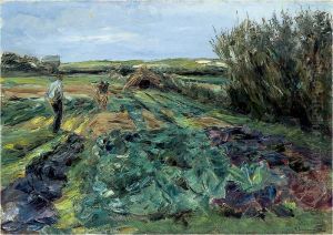 The cabbage field (cabbage field in Noordwijk)