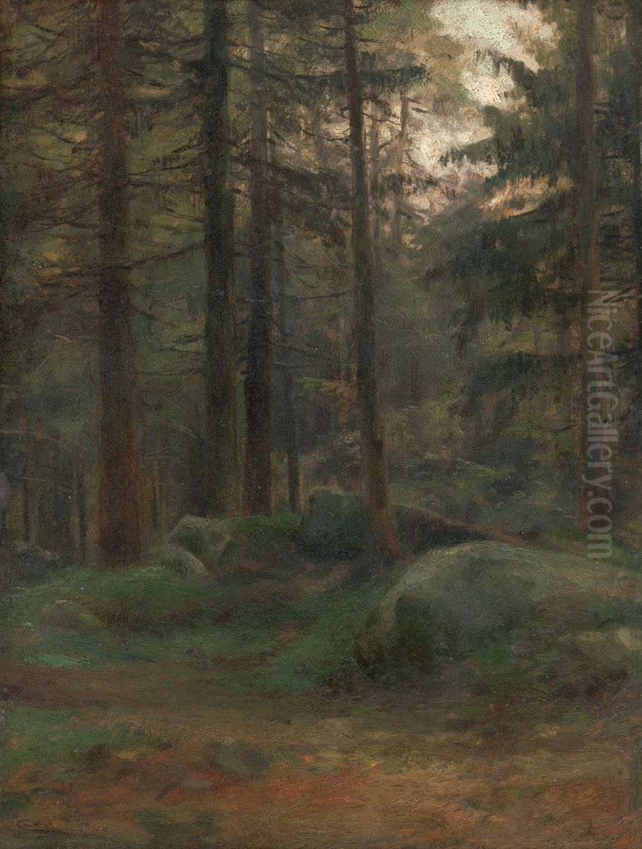 Interior of Coniferious Woods with Rocks Oil Painting by Lajos Csordak