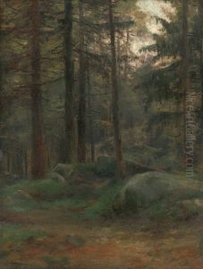 Interior of Coniferious Woods with Rocks