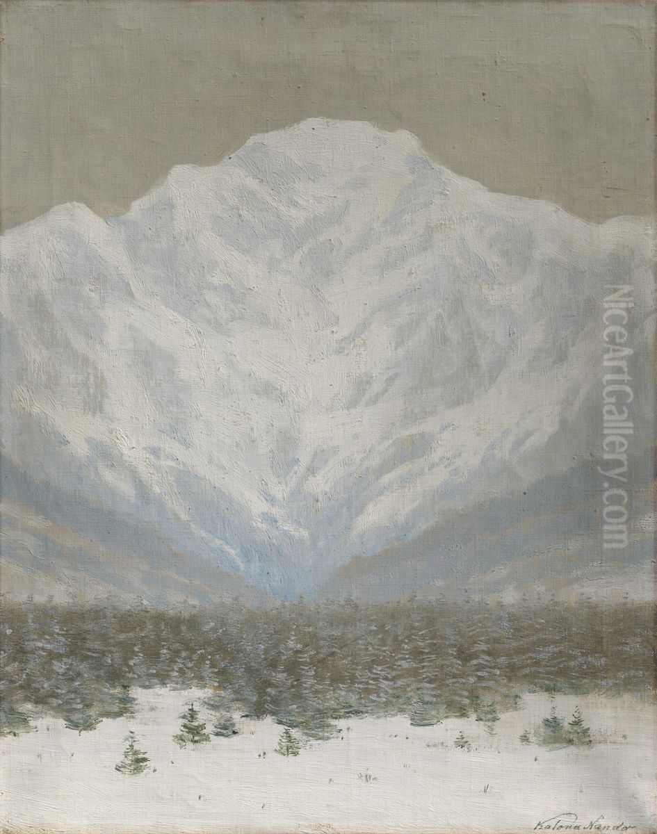 Zimny den vo Vysokych Tatrach Oil Painting by Nandor Katona