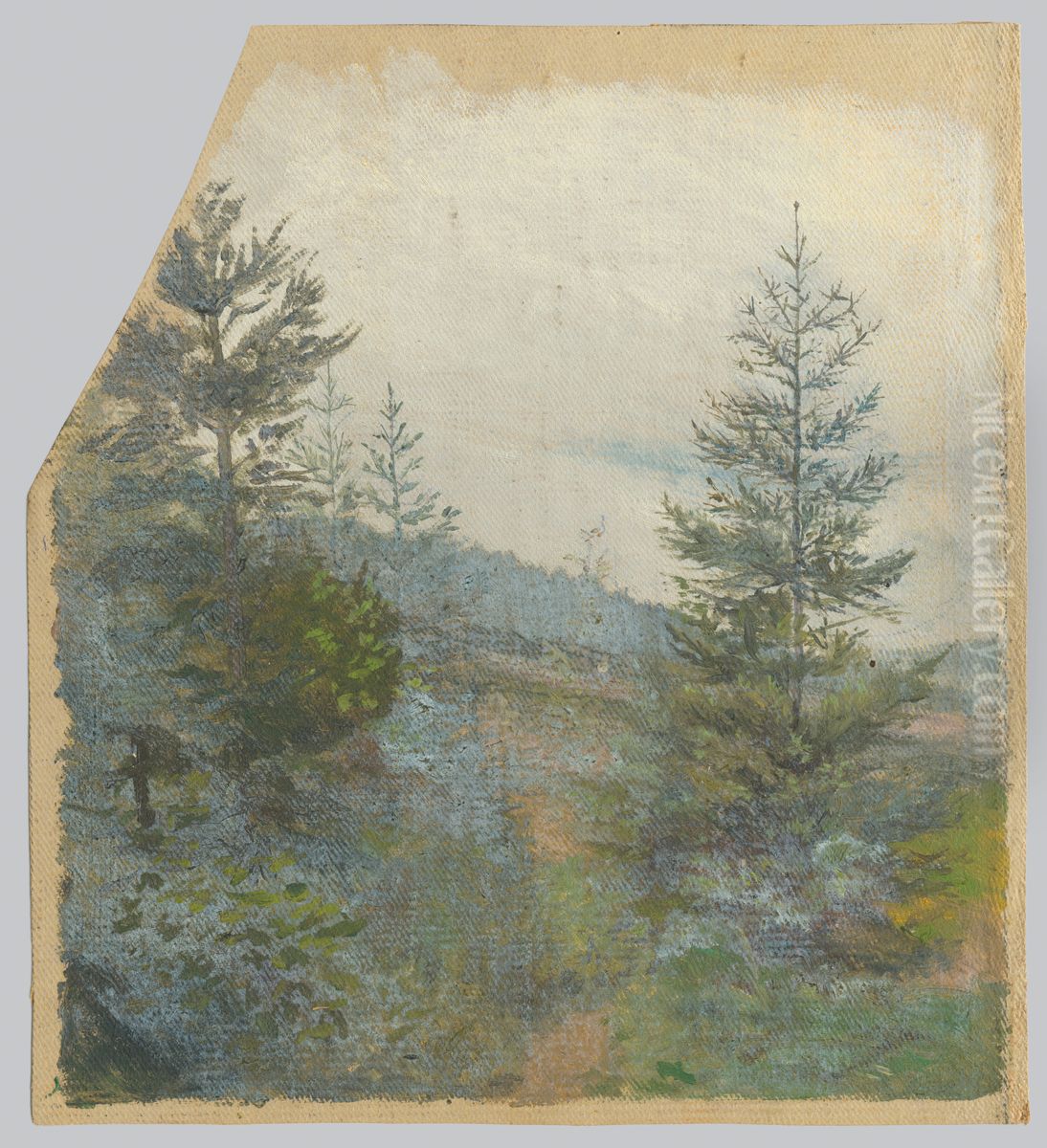 Spruces Oil Painting by Jan Nowopacky