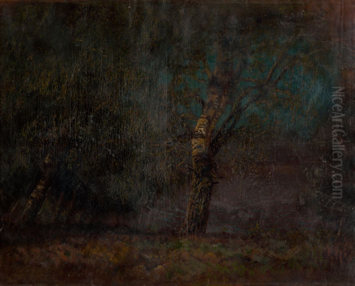 Inside of a Birch Forest Oil Painting by Laszlo Mednyanszky