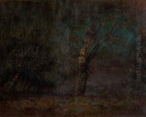 Inside of a Birch Forest