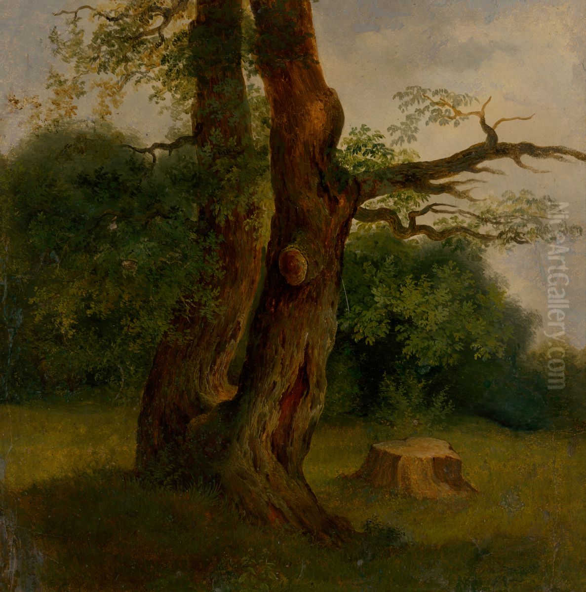 Study of a Leafy Tree Oil Painting by Jozef Bozetech Klemens