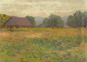 In the Meadow