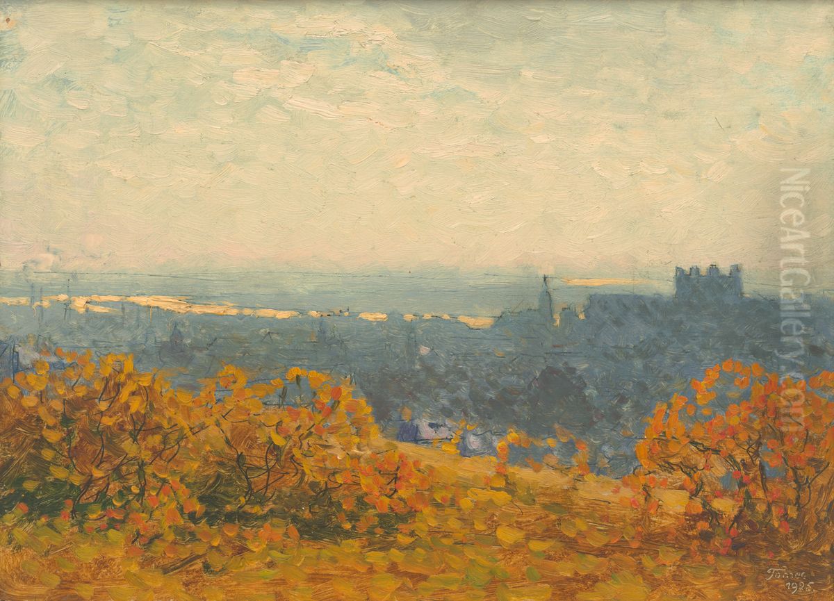 View of Bratislava Oil Painting by Jindrich Tomec