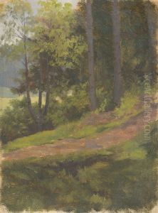 Path on the Edge of the Forest