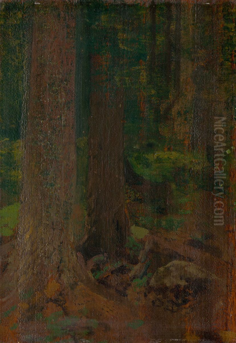 Studia lesa Oil Painting by Nandor Katona