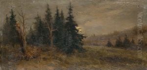 Forest Landscape