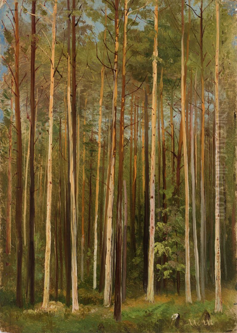 Forest. Study Oil Painting by Ivan Shishkin