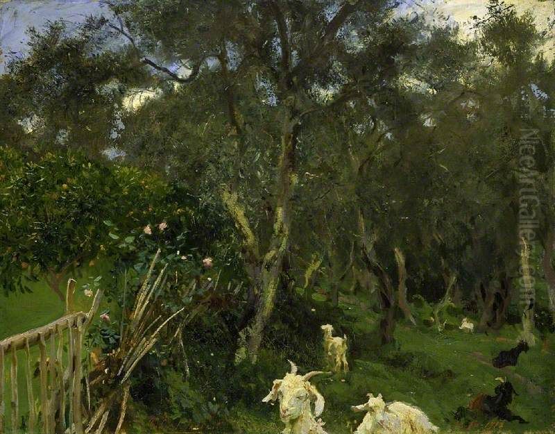 Olives in Corfu Oil Painting by John Singer Sargent