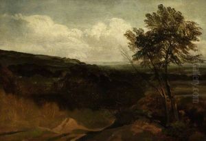 Landscape Study