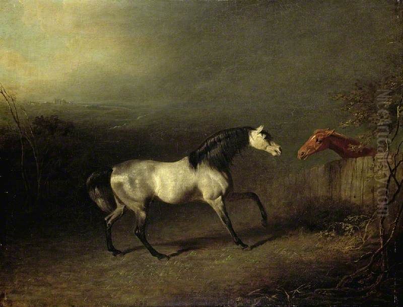 A Grey Arab Oil Painting by Benjamin Marshall
