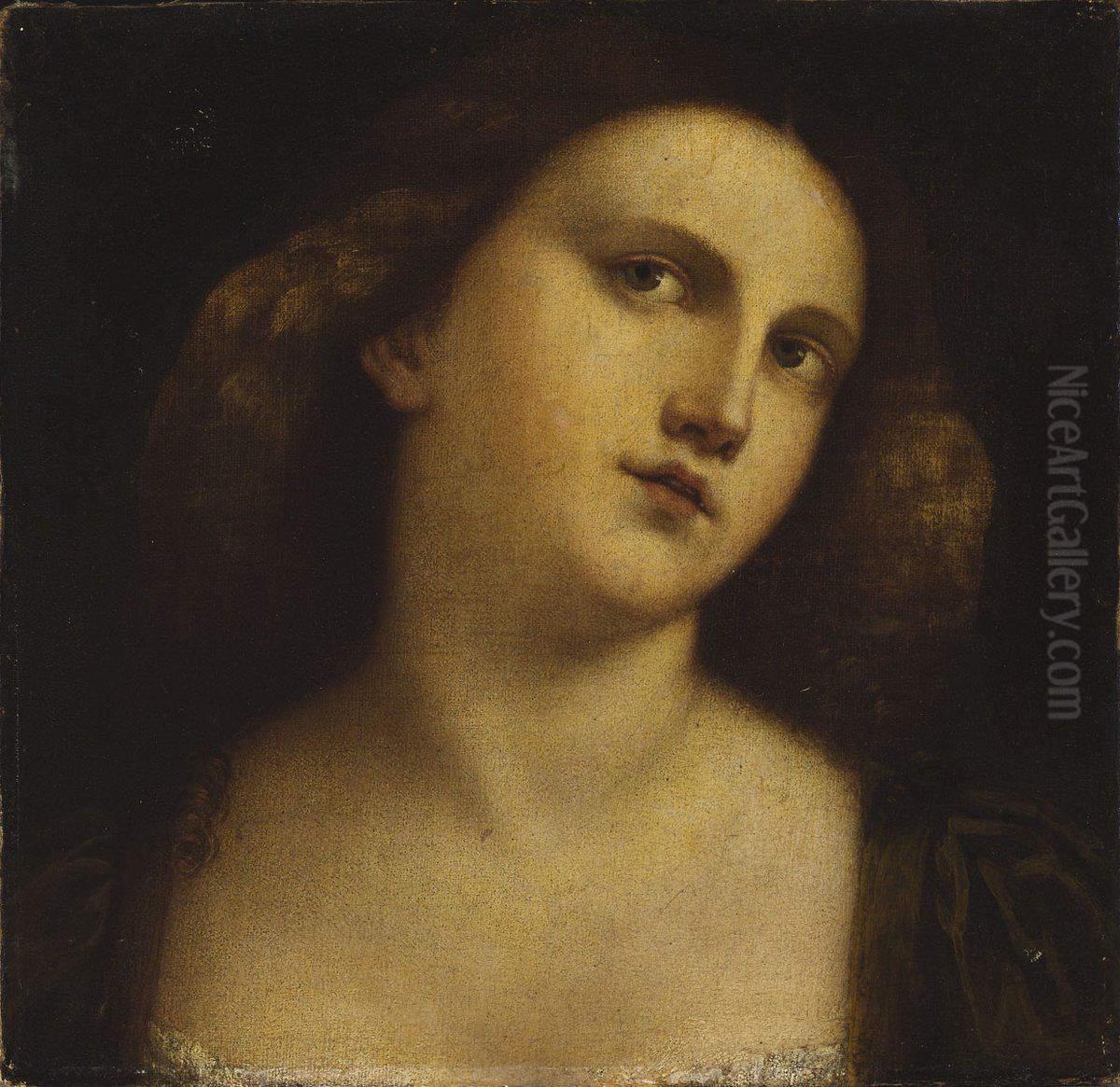 Portrait of a Girl Oil Painting by Palma Vecchio