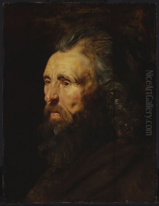 Study of a Man's Head Oil Painting by (studio of) Rubens, Peter Paul