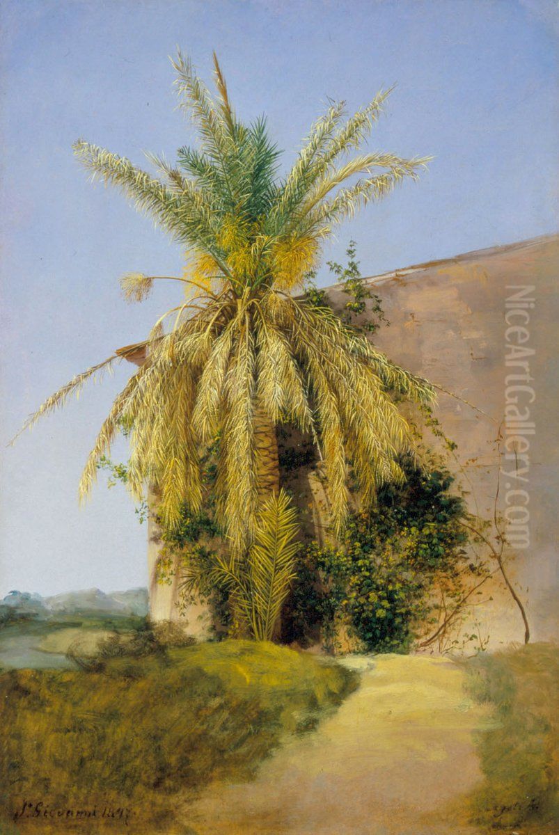 Palm-Tree Oil Painting by Antal Ligeti