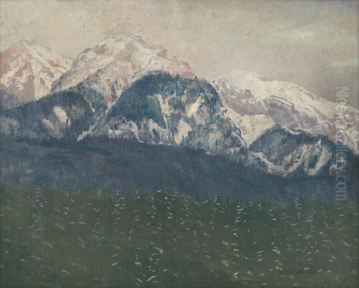 Pohlad na Vysoke Tatry Oil Painting by Nandor Katona