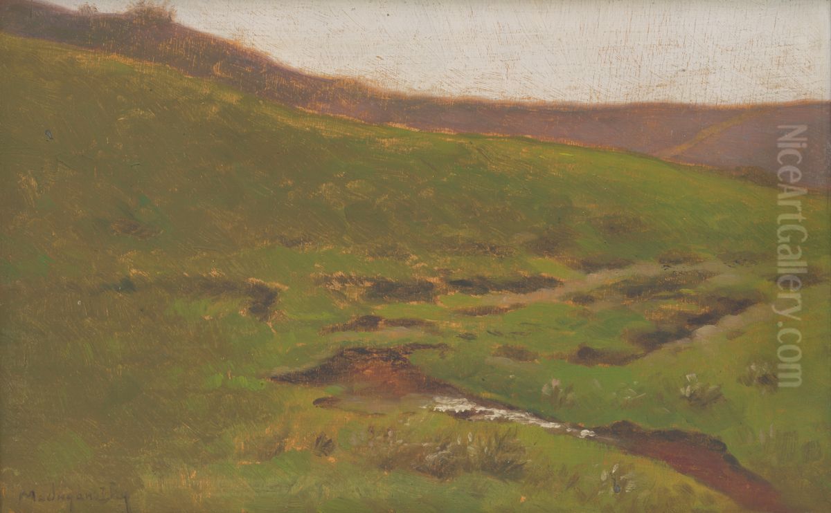 Krajina s potokom Oil Painting by Laszlo Mednyanszky