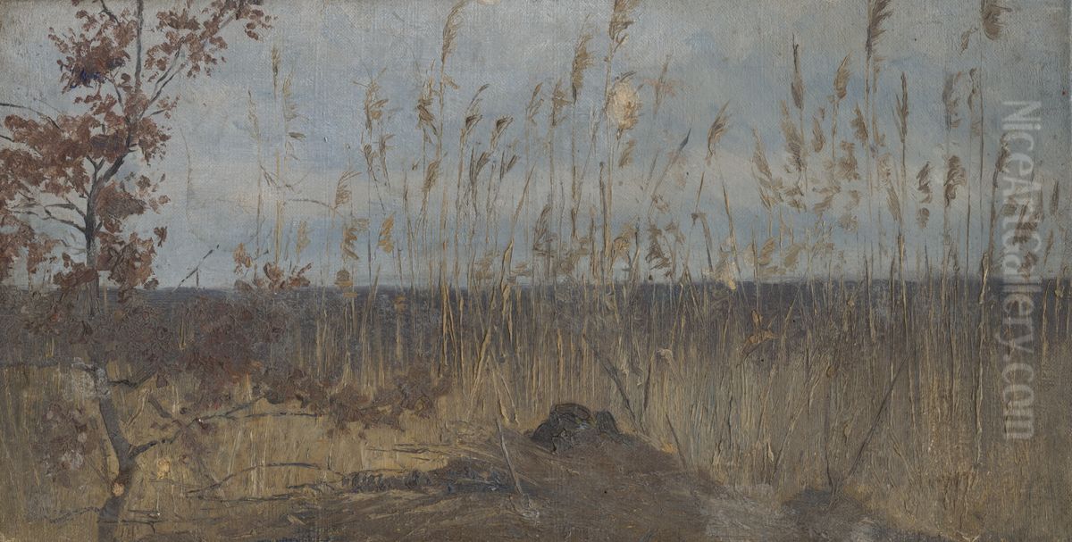 Studia krajiny v okoli mocariska Oil Painting by Laszlo Mednyanszky