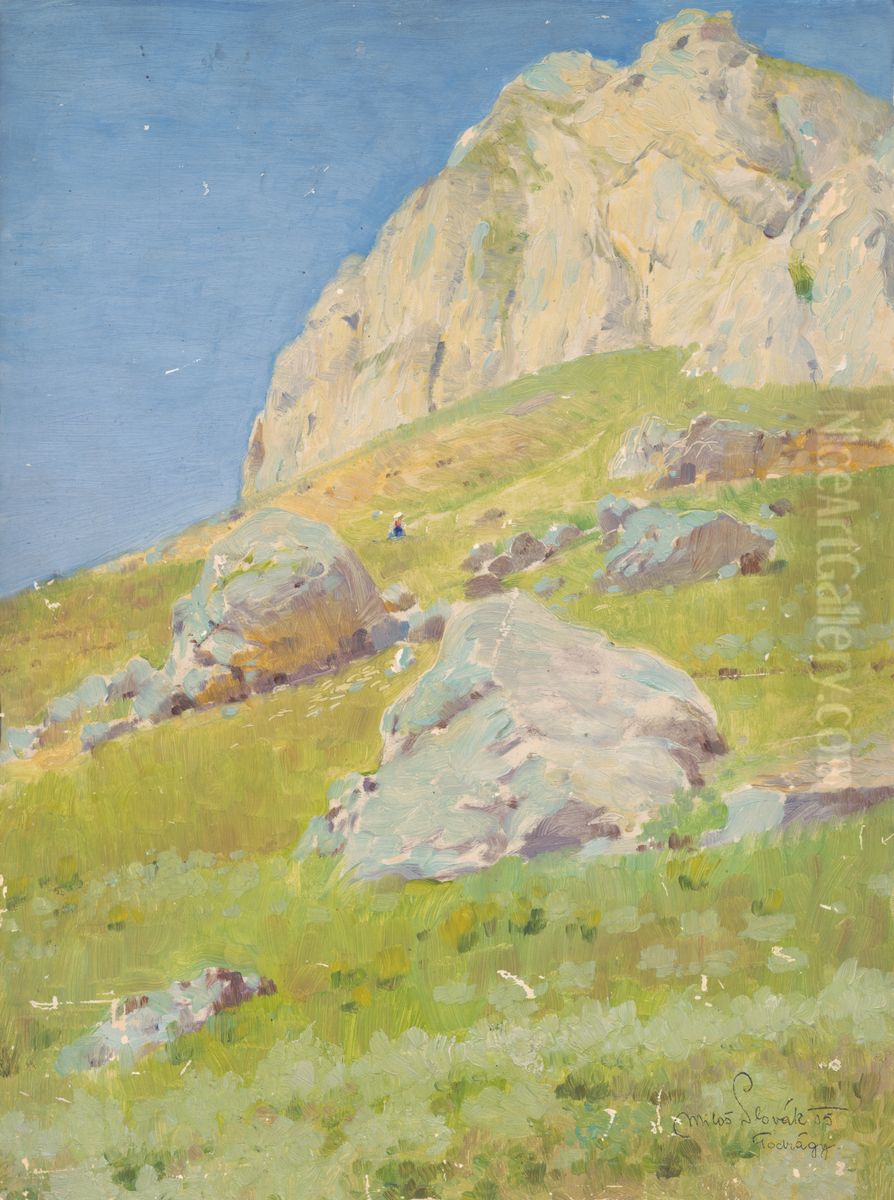 Studia krajiny z okolia Sulovskeho Podhradia Oil Painting by Milos Slovak