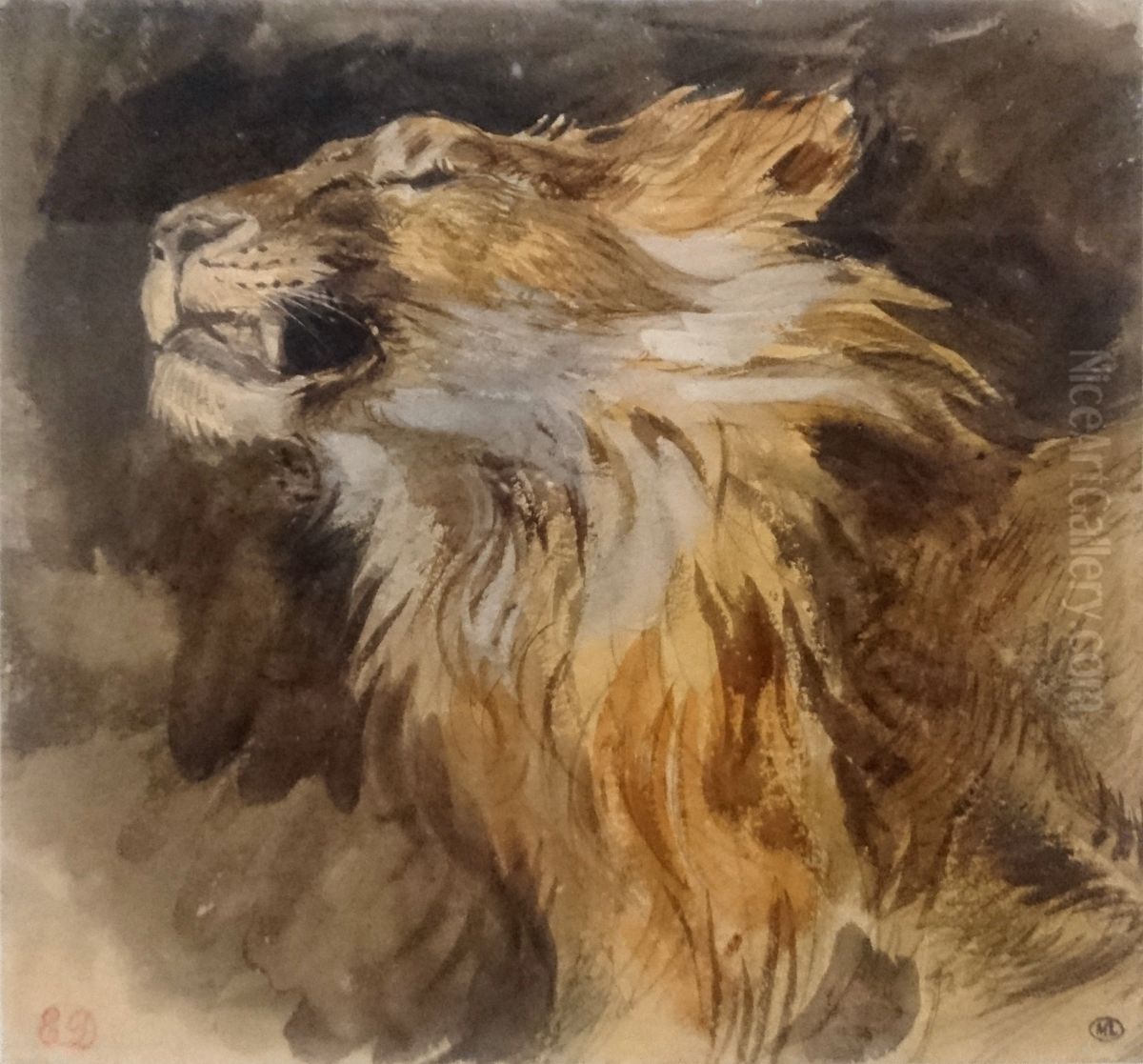 Tete de lion rugissant Oil Painting by Eugene Delacroix