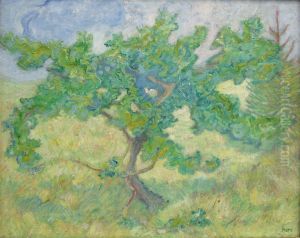 Little oak tree