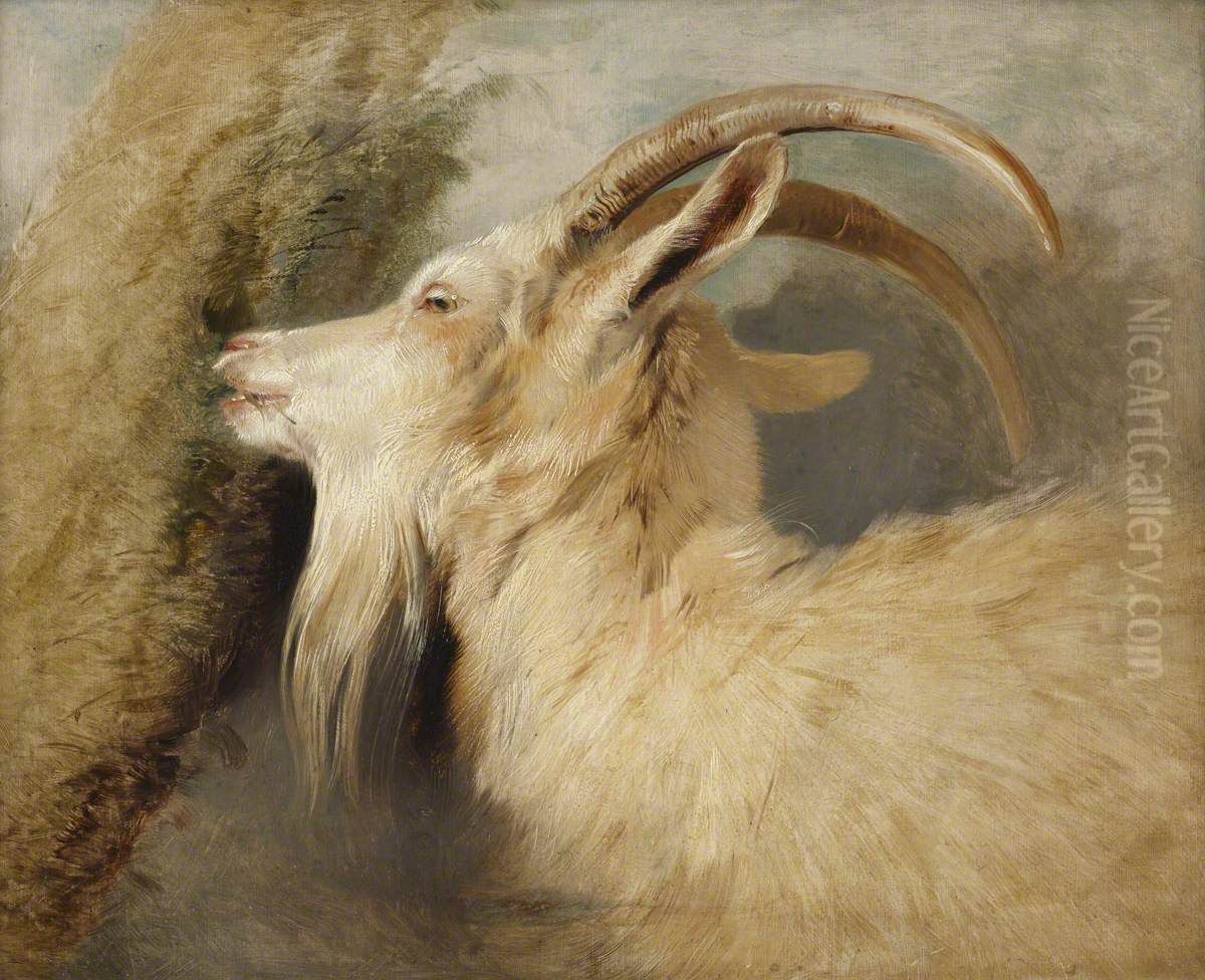 Head of a Goat Oil Painting by Sir Edwin Henry Landseer
