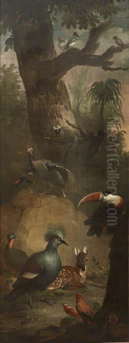 Roe Deer, Marmoset, Toucan and other Birds Oil Painting by Aert Schouman