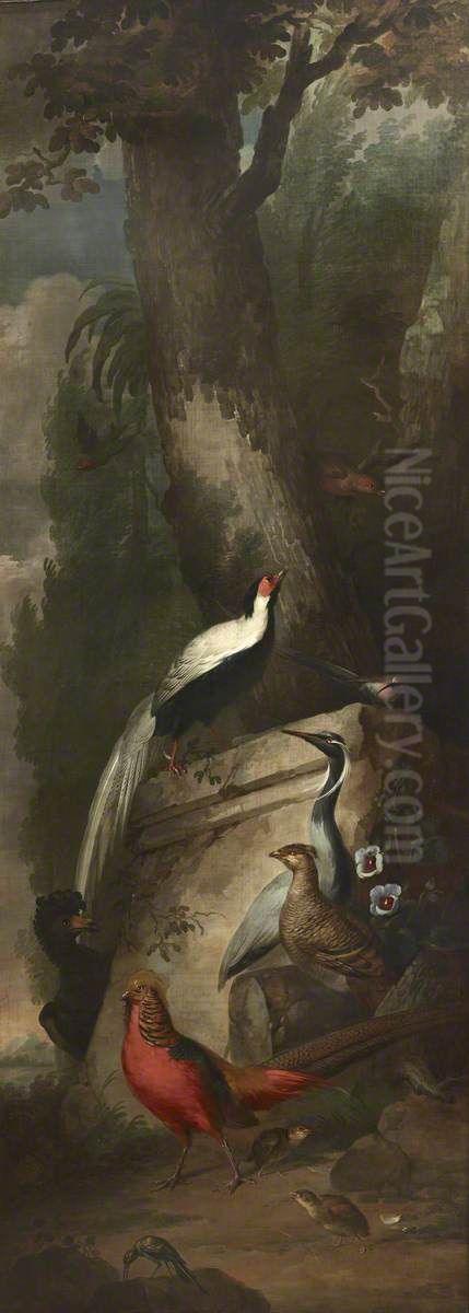 Red, Gold and Silver Pheasants and a Crane Oil Painting by Aert Schouman