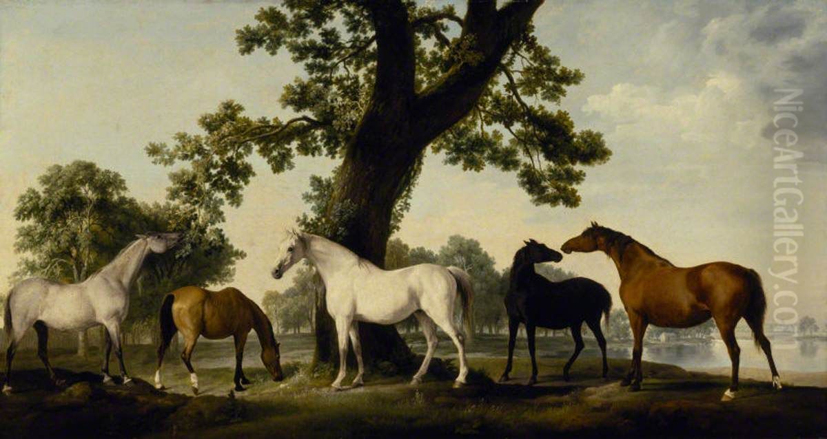 Five Brood Mares at the Duke of Cumberland's Stud Farm in Windsor Great Park Oil Painting by George Stubbs