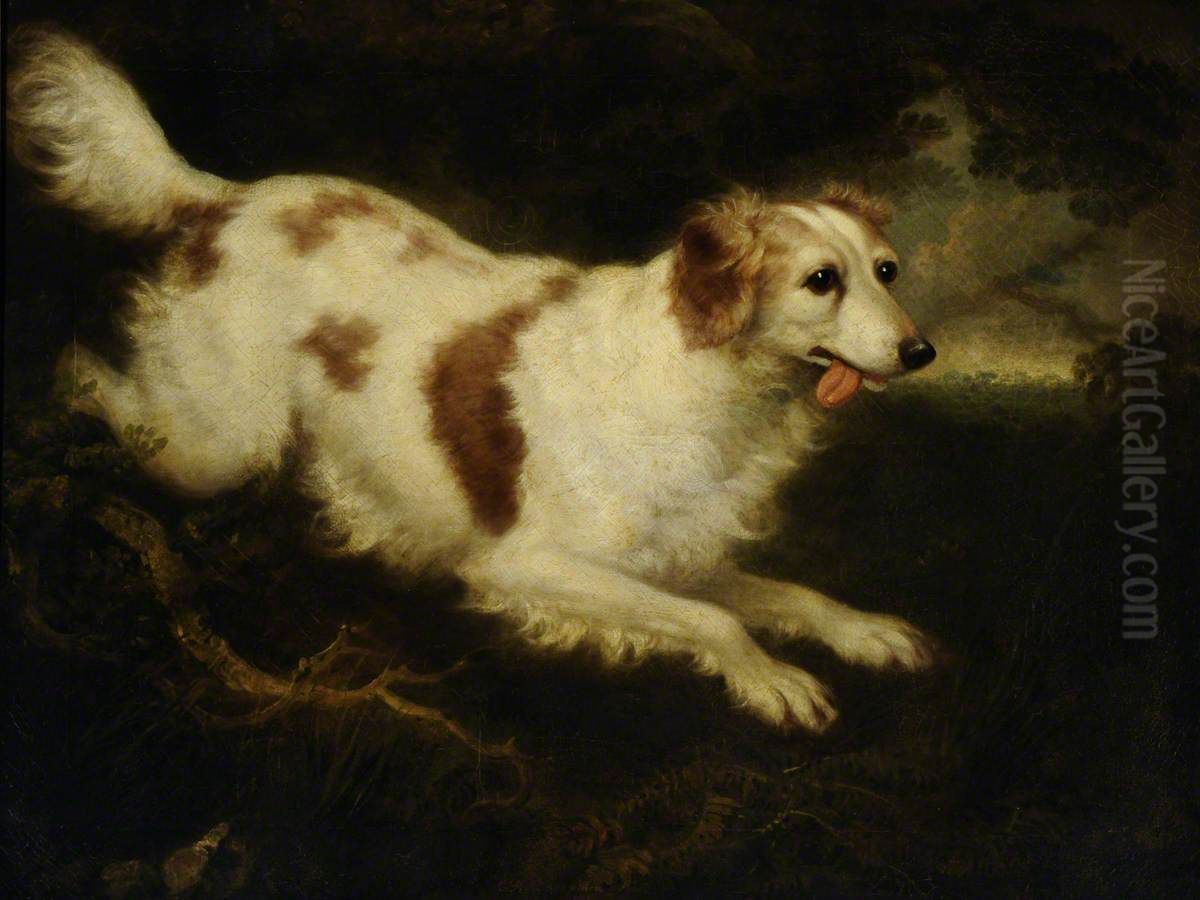 'Dash' a Spaniel Oil Painting by Charles Henry Schwanfelder