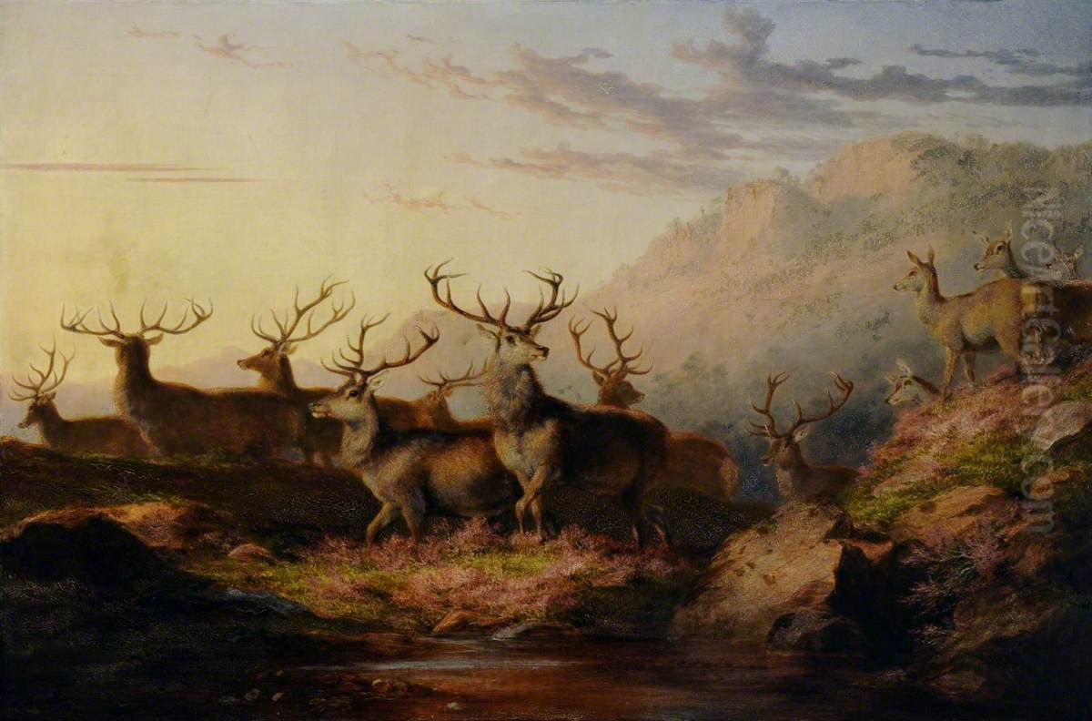Stags on the Highlands Oil Painting by James Giles
