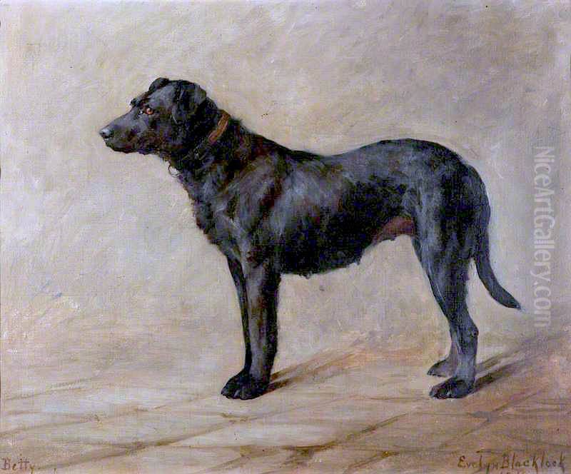 'Betty', a Black Labrador Oil Painting by Evelyn Blacklock