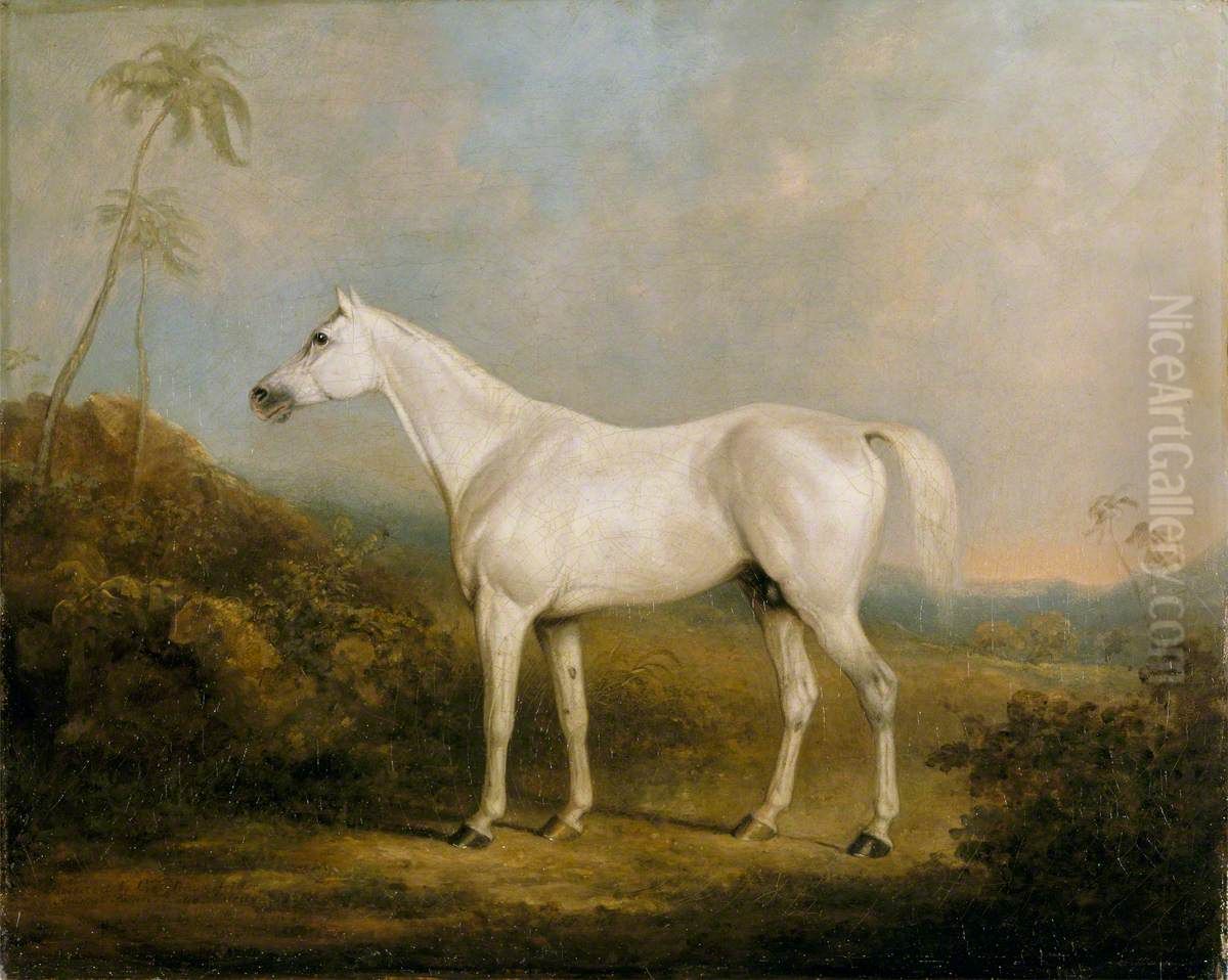 'Graniki', a Grey Arab Stallion in an Indian Landscape Oil Painting by Charles Henry Schwanfelder